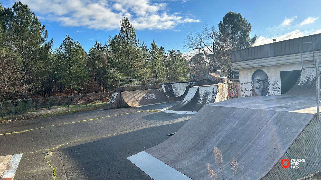 Cestas skatepark